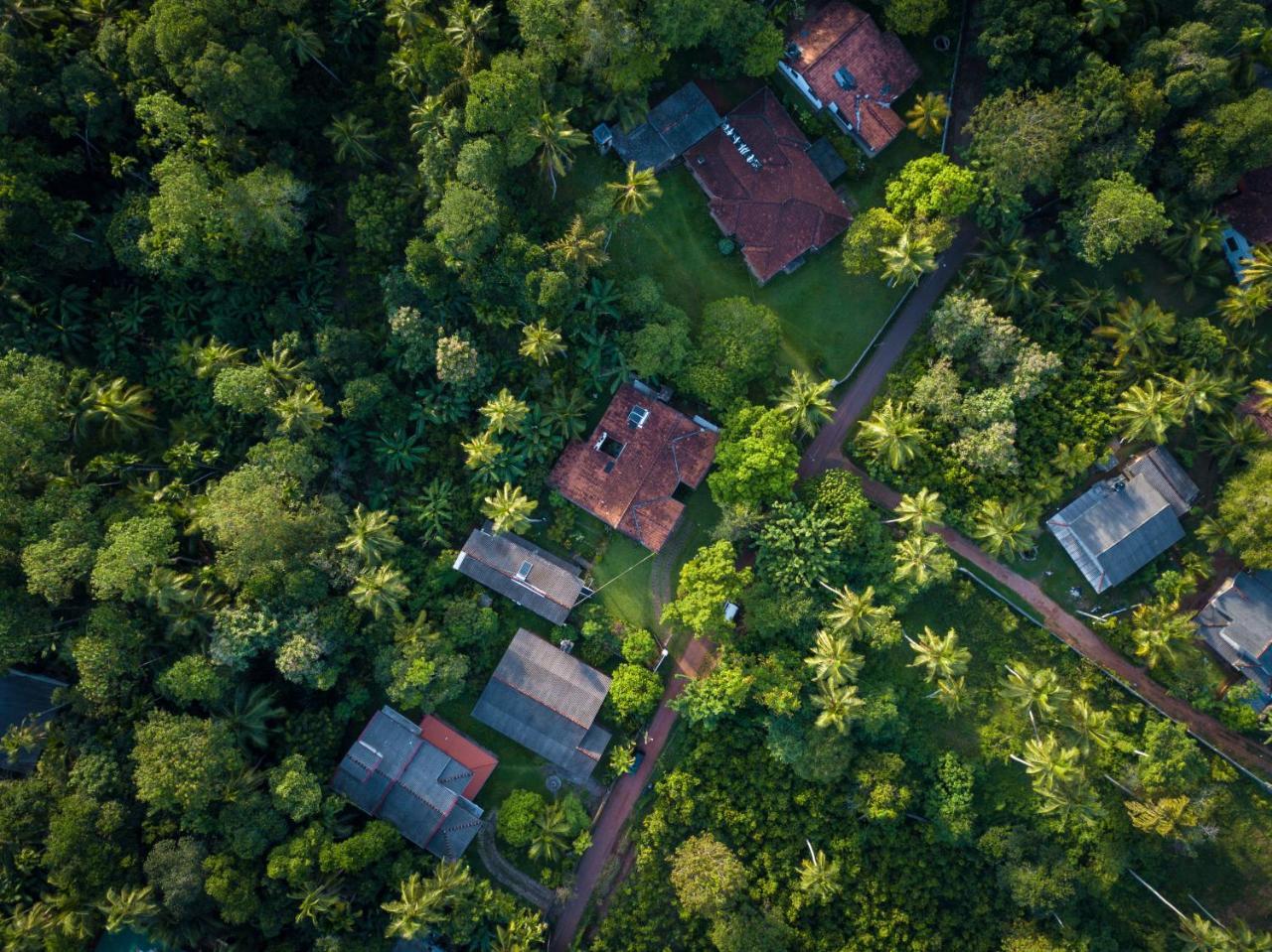 Hikkanest Hikkaduwa Exteriör bild